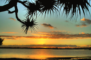 Image showing Bent Tree Sunrise 