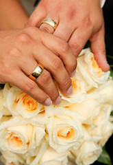 Image showing Wedding Couple