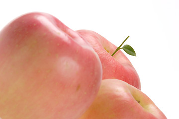 Image showing Fruits, Rose Apple