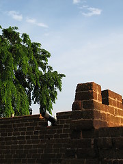 Image showing Canon on fort