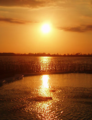 Image showing Sunset