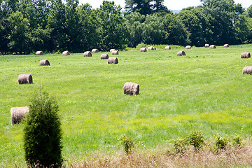 Image showing Meadow with bales of hay