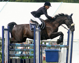 Image showing Horse Jump