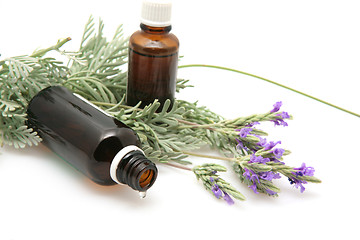Image showing lavender oil and lavender flowers on white background