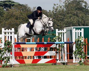 Image showing Horse Jump