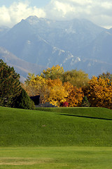 Image showing Trees in a Park with Mountains on the Background