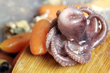 Image showing Seafood