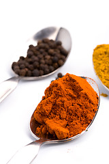 Image showing ground spices