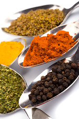 Image showing various ground spices