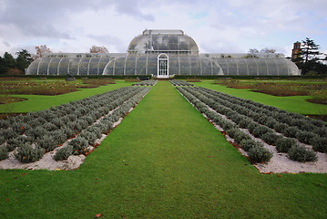 Image showing Kew Gardens garden.