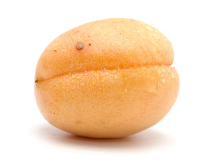 Image showing apricot