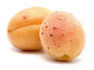 Image showing apricots