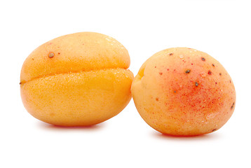 Image showing apricots