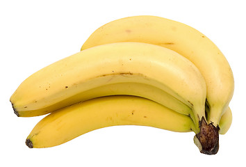 Image showing bananas