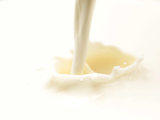 Image showing milk