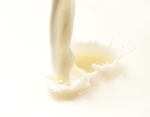 Image showing milk