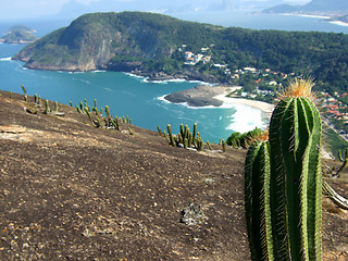 Image showing Itacoatiara beach view of Costao Mountain top