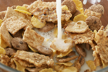 Image showing Corn flakes