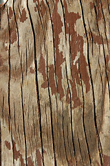 Image showing Wooden Background