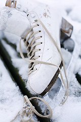 Image showing Close-up of a white ice skate.