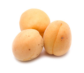 Image showing apricots