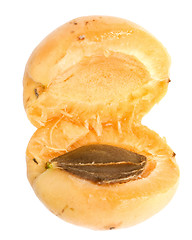 Image showing apricot