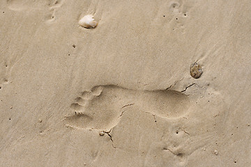 Image showing Footprint in the sand.