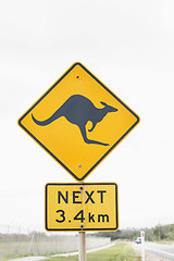 Image showing Kangaroo warning road sign.