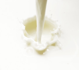 Image showing milk