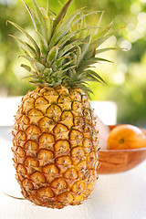 Image showing Colorful tropical fruit arrangement.