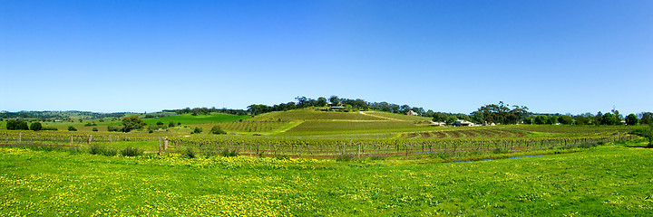 Image showing Panoramic Barossa