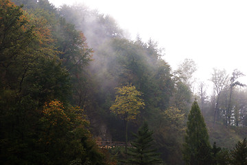 Image showing fog