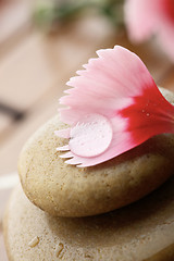 Image showing Flower petal resting on rounded pebbles.