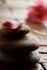 Image showing Flower petal resting on rounded pebbles.