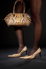 Image showing snakeskin shoes and handbag