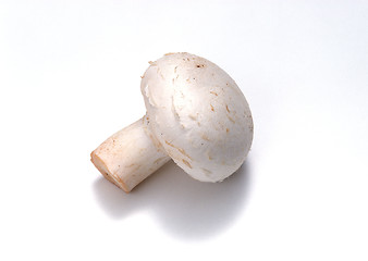 Image showing Mushroom