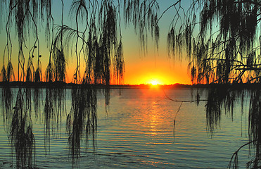 Image showing Casuarina Sunrise