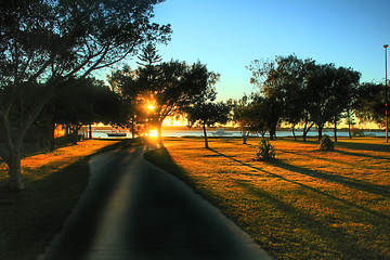 Image showing Sun Through Trees