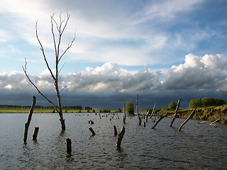 Image showing Old pond