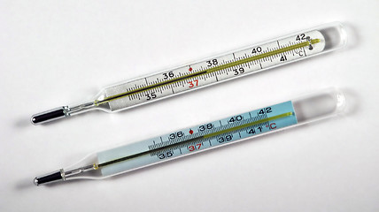 Image showing Two thermometers