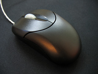 Image showing Black Mouse