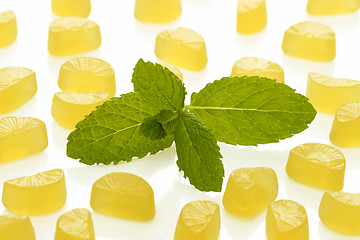 Image showing Lemon wine gums