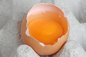 Image showing Fresh eggs