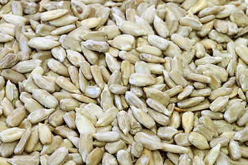 Image showing Sunflower seeds