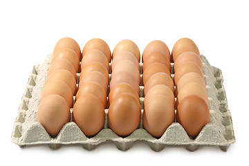 Image showing Brown eggs