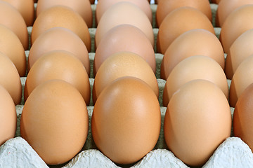 Image showing Brown eggs