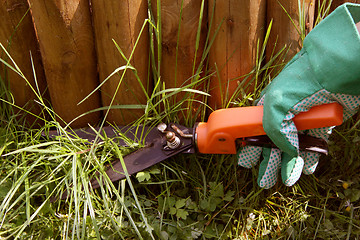 Image showing Trimming grass