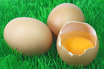 Image showing Decorative brown eggs