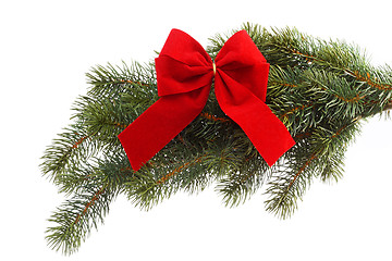 Image showing Gift ribbon