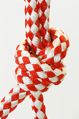 Image showing Rope with knot